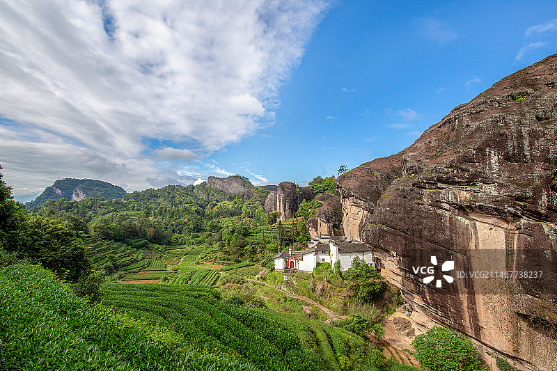 武夷山 马头岩 茶园图片素材
