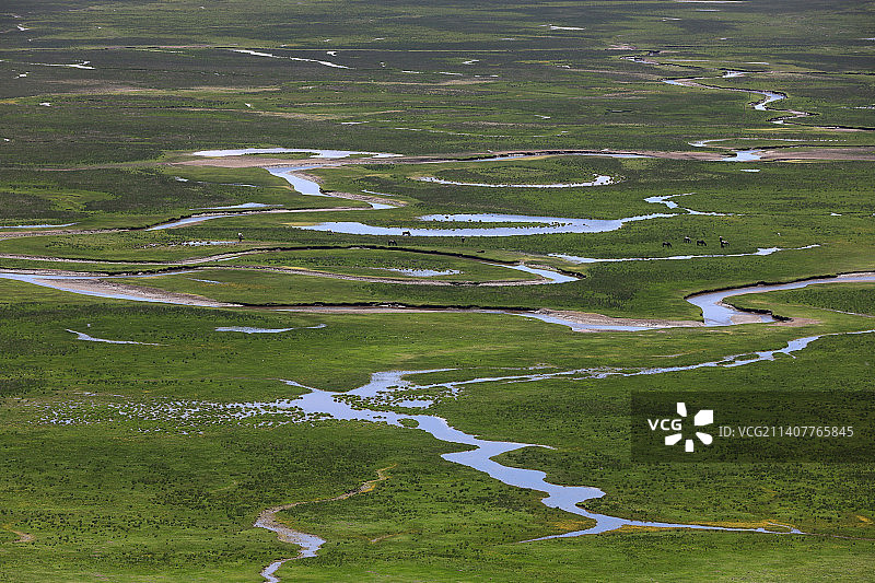 阿万仓湿地图片素材