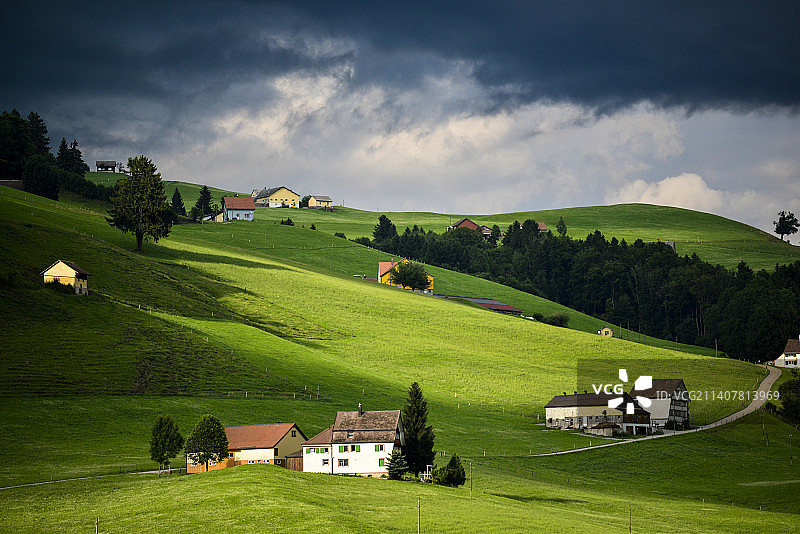 瑞士的绿色景观和房屋图片素材