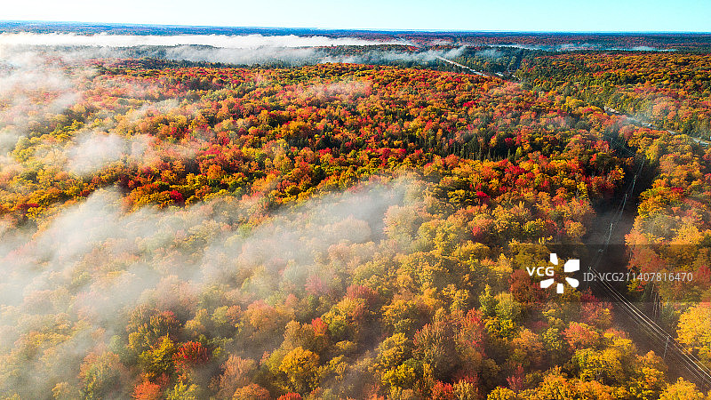 加拿大安大略省森林秋季树木航拍图片素材