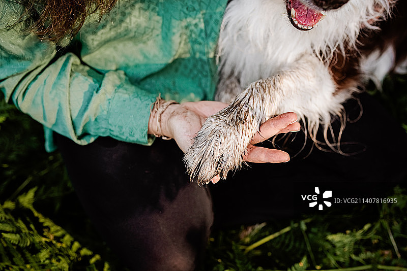 和狗一起坐在田野里的女人下半身图片素材