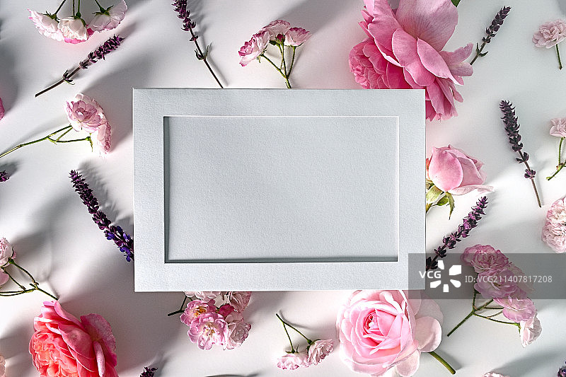 白色背景上的空画框扁平风格，顶部视图框架设计，空的空间模板图片素材