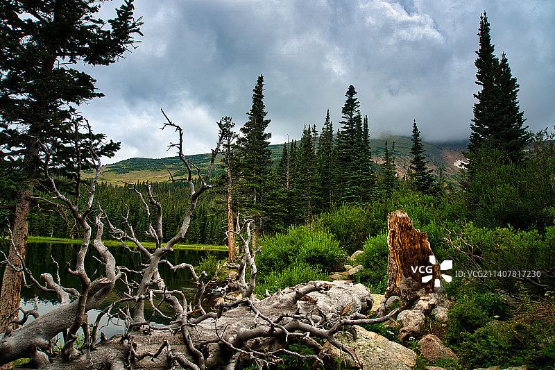 科罗拉多州彩虹湖景观树木全景图片素材