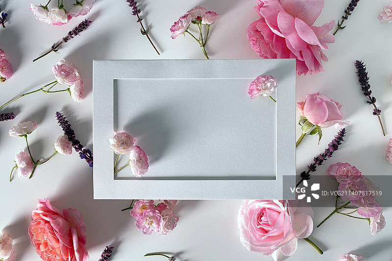 白色背景上的空画框扁平风格，顶部视图框架设计，空的空间模板图片素材