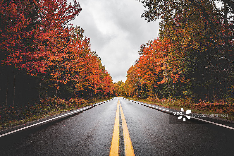 加拿大：秋季树木与空旷道路图片素材