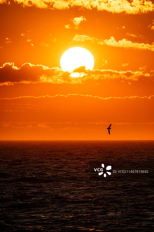 俄罗斯阿尔汉格尔斯克州新地岛区橙色天空海景图片素材