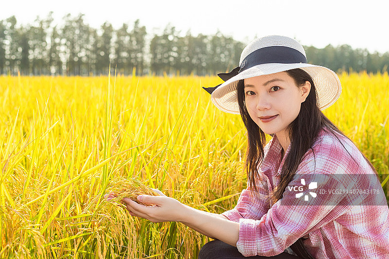 秋天金黄色稻田里的亚洲年轻女性图片素材