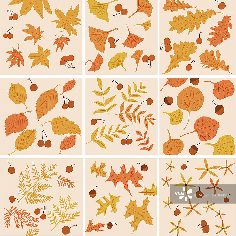 秋天秋日路落叶图片素材