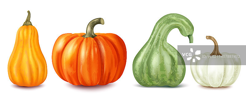 逼真南瓜套装图片素材