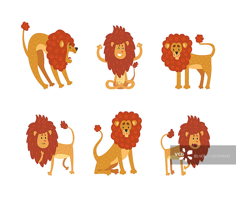 可爱的野生狮子动作合集图片素材