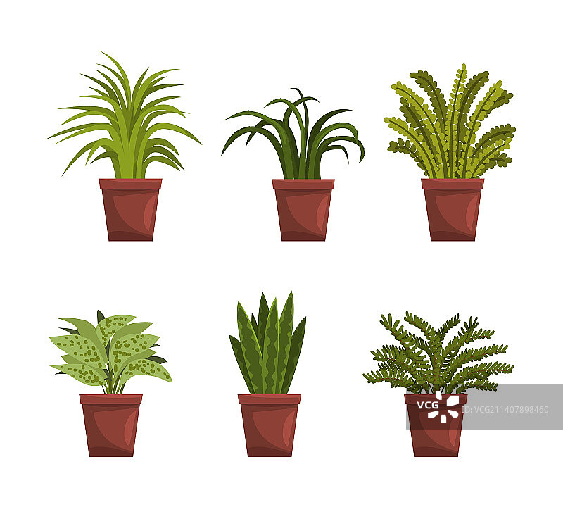 装饰性室内盆栽合集图片素材