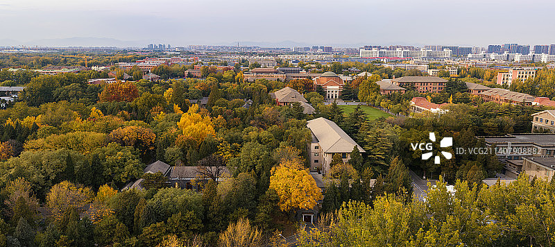 秋日俯瞰清华园全景图片素材