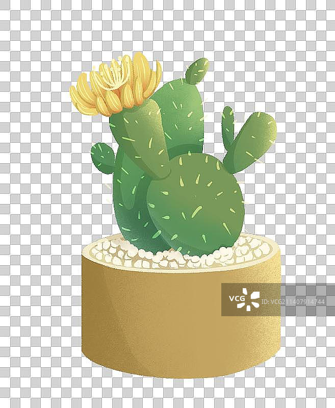 仙人掌植物肌理小清新插画图片素材