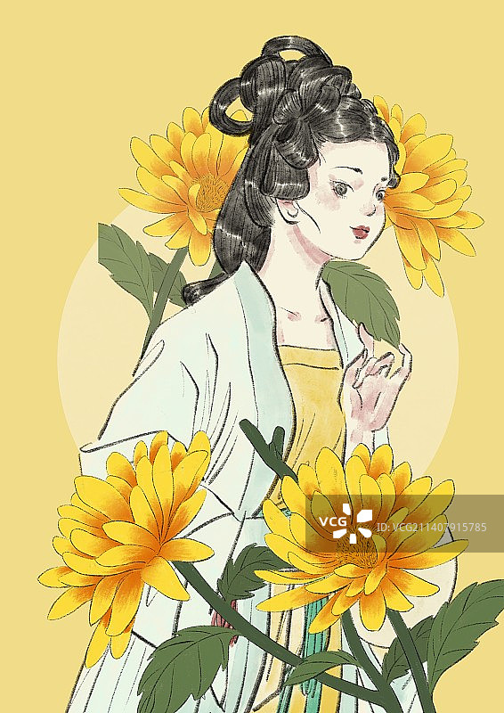 9月菊花图片素材