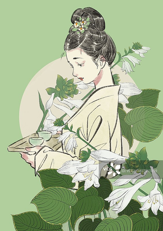 7月玉簪花图片素材