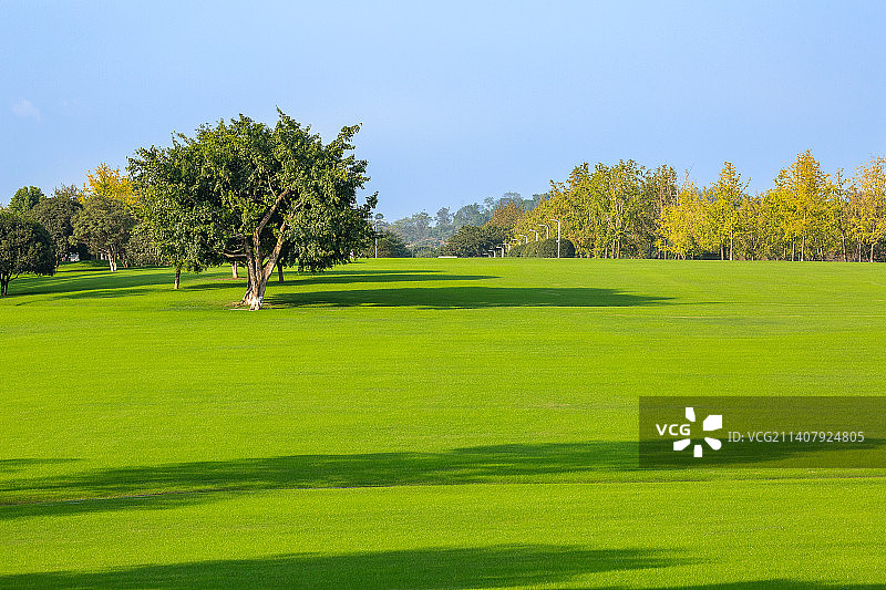 中国重庆渝北区中央公园的草坪图片素材