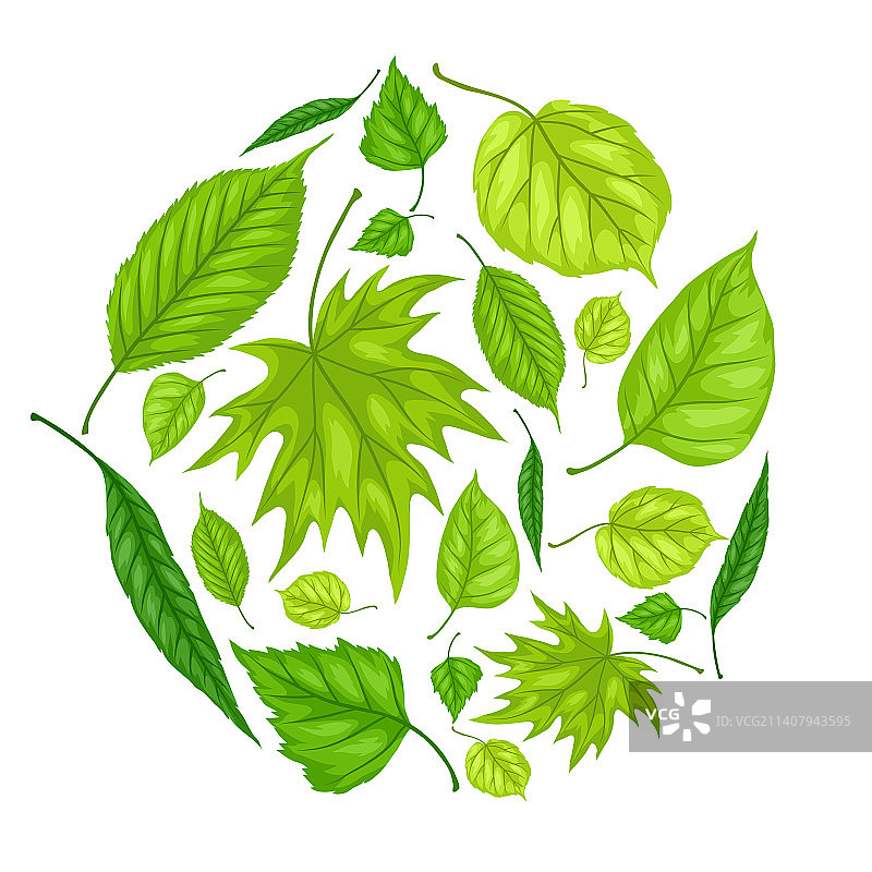 美丽的春季树叶背景图片素材