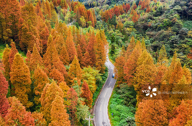 四川成都都江堰市赵公山秋季风光航拍图图片素材