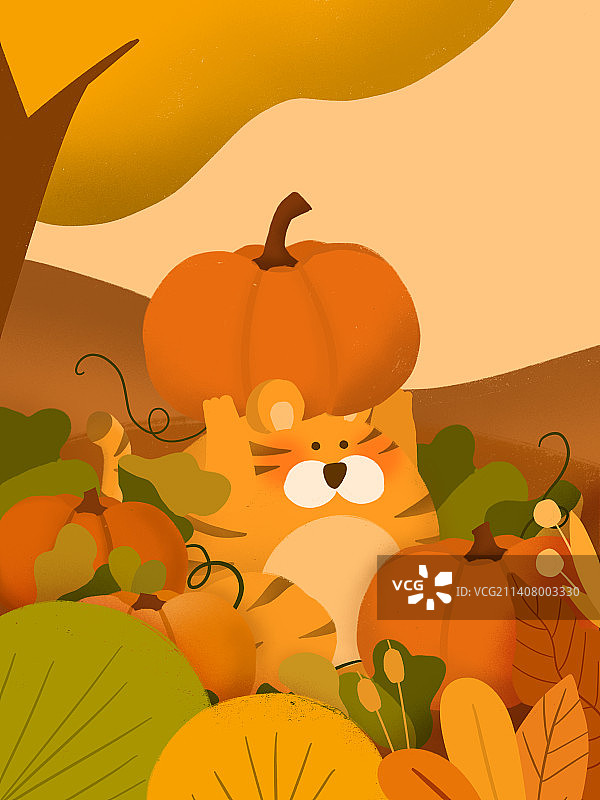 小老虎的秋日收成图片素材