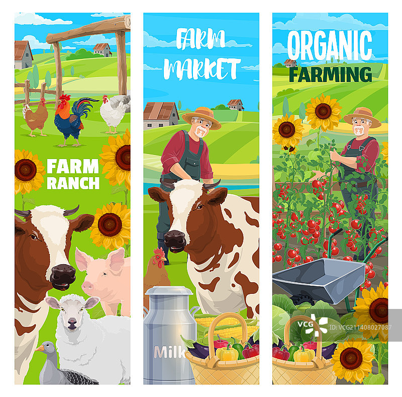 农场动物与农夫田野竖版banner图片素材