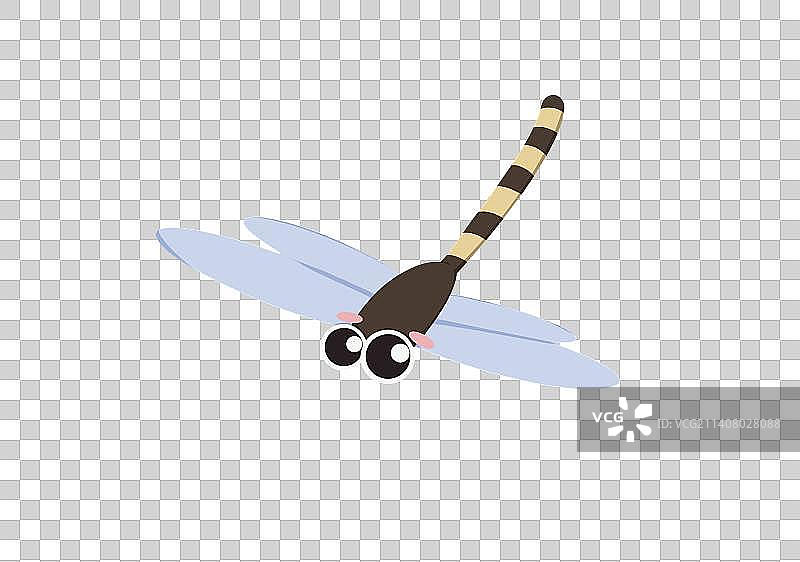 可爱的蜻蜓图片素材