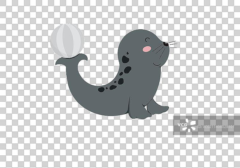 可爱的海豹图片素材