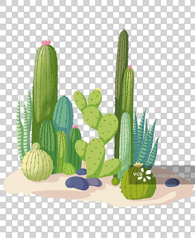 可爱的手绘仙人掌图片素材