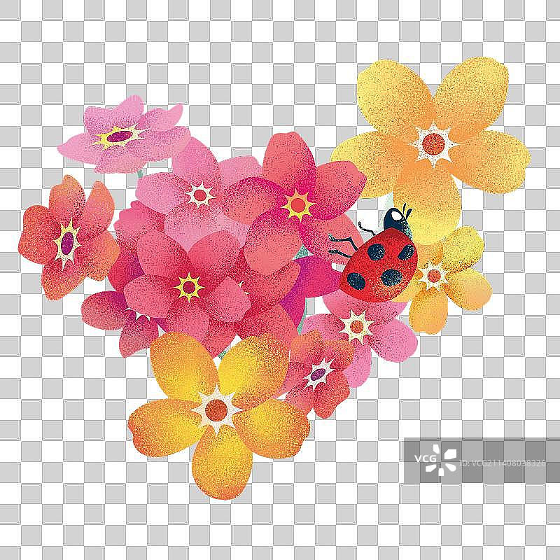 花丛上的七星瓢虫插图图片素材