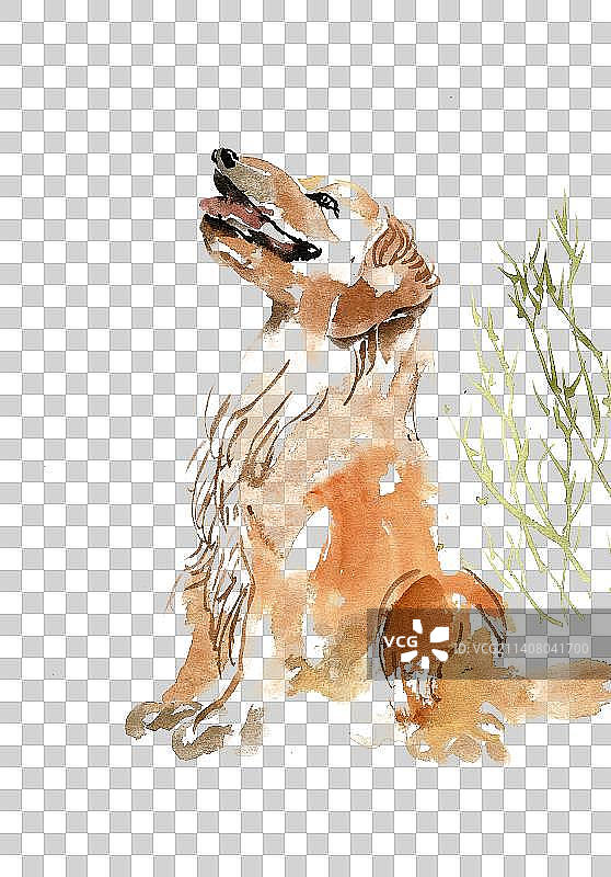 仰头的小狗图片素材