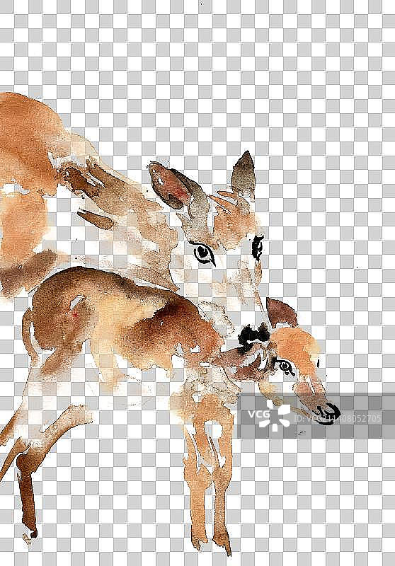 依偎的鹿图片素材