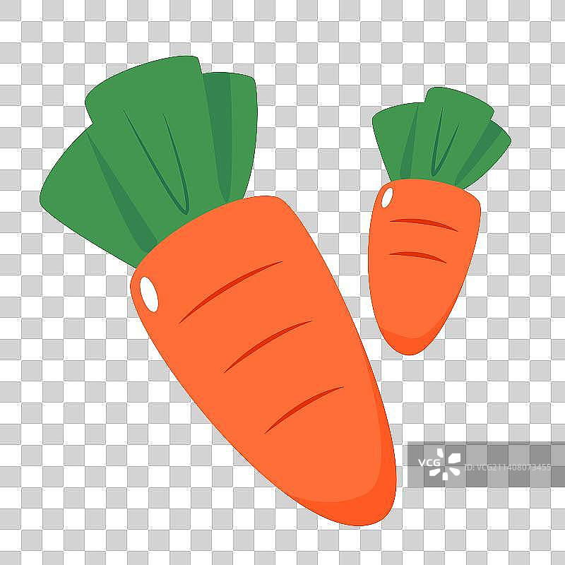 可爱的胡萝卜矢量插画元素图片素材