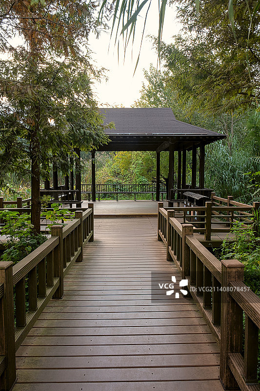 秋天扬州宋夹城体育休闲公园荷花池畔木栈道及亭子图片素材