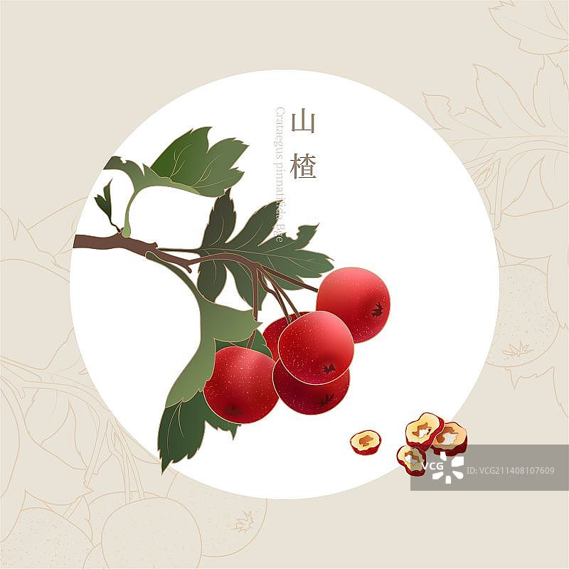 山楂包装矢量插画图片素材