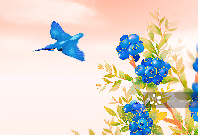 蓝莓营养美味浆果写实商业食品插画图片素材