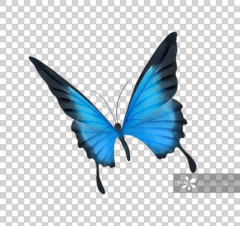 蝴蝶素材图片素材