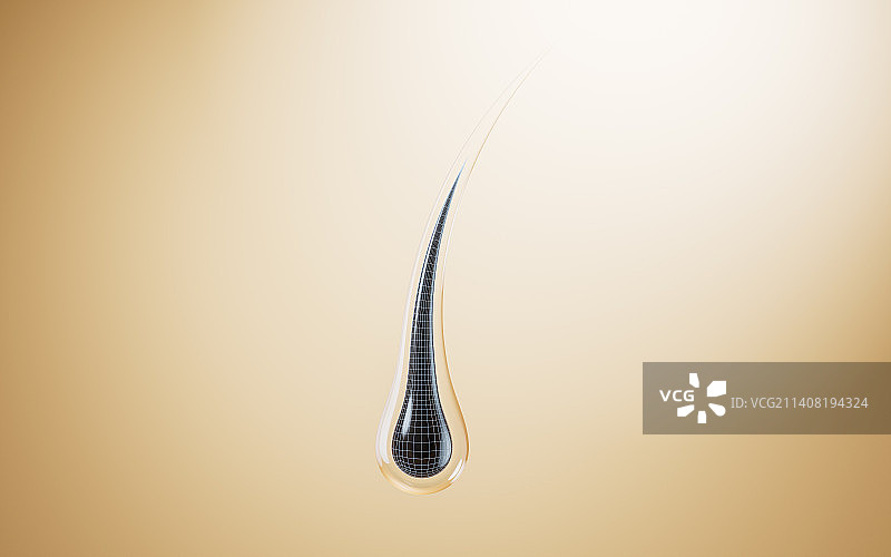 单根的头发3D渲染图片素材