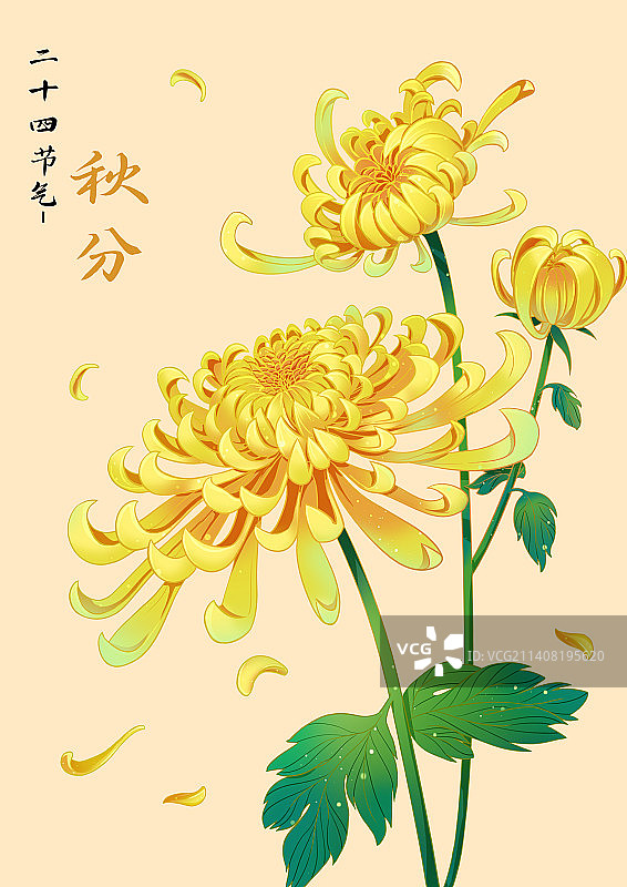 节气插画图片素材