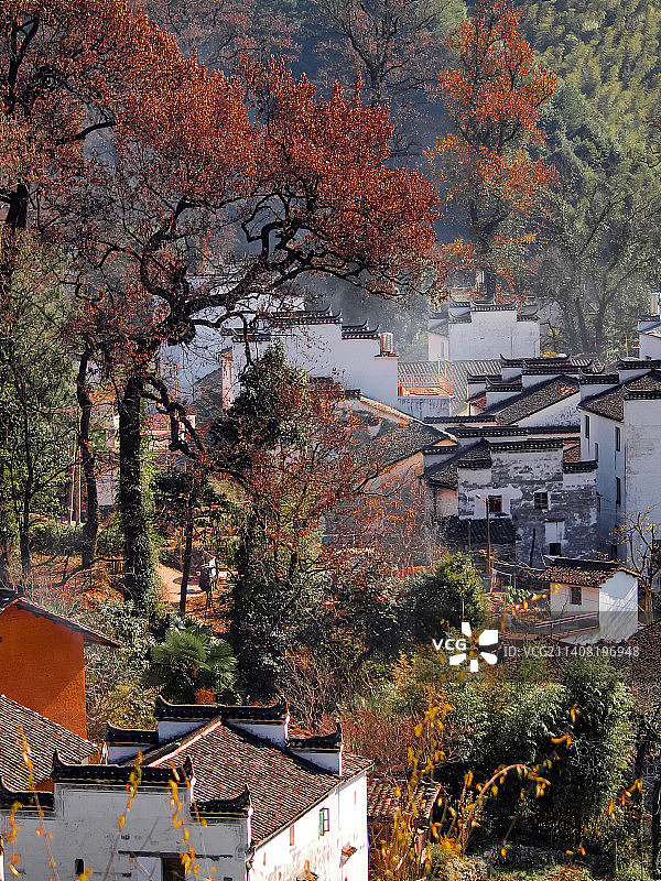 秋季晨间江西上饶婺源石城晨暮图片素材