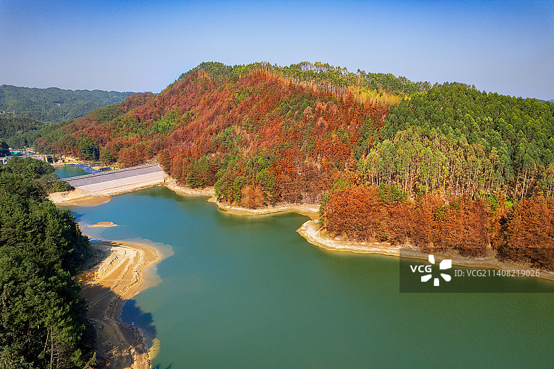 重庆璧山云雾山彩色红叶森林图片素材