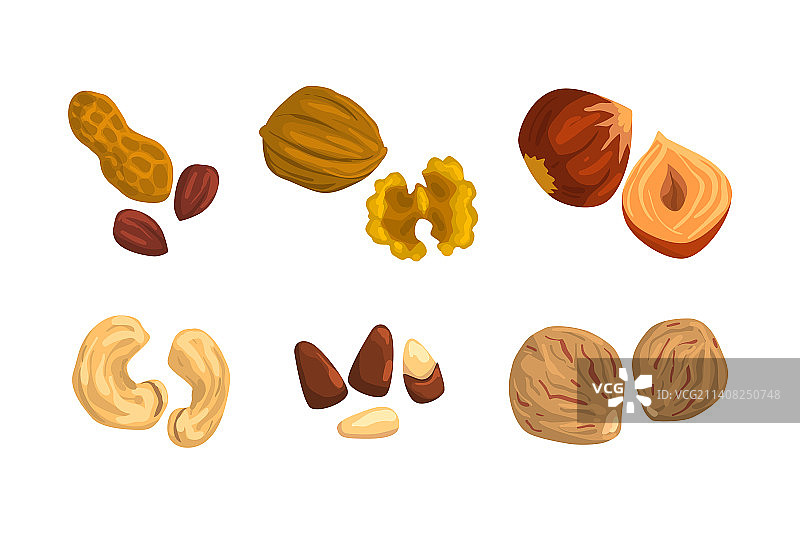 坚果和种子合集：花生、核桃、榛子图片素材