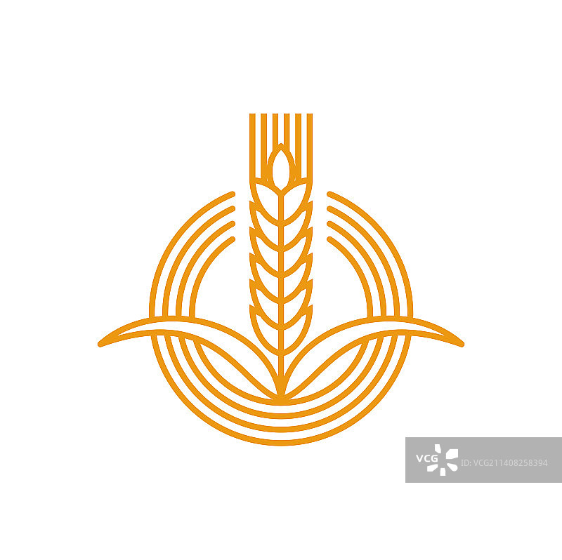 农业图标小麦穗黑麦或稻穗图片素材