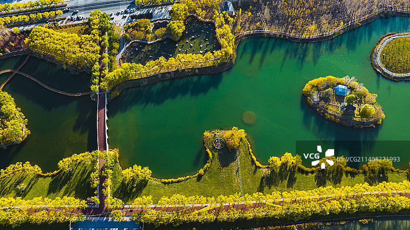 高台县国家级湿地公园秋色迷人图片素材