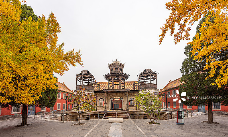 秋天故宫延禧宫银杏金黄与屋檐角兽相互衬托图片素材
