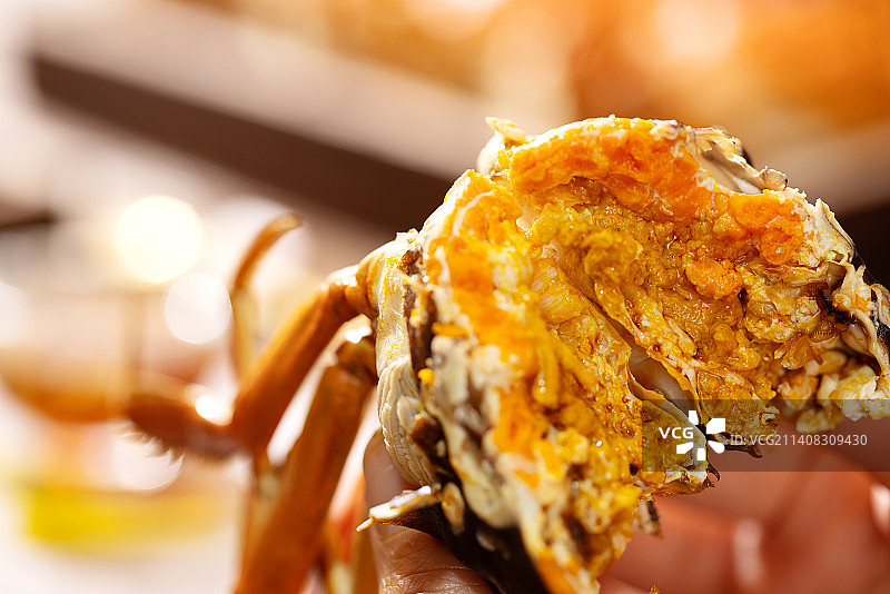 手拿大闸蟹,诱人蟹黄展示图片素材