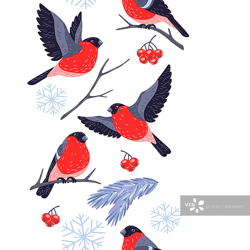 带有红腹灰雀的冬季无缝图案图片素材