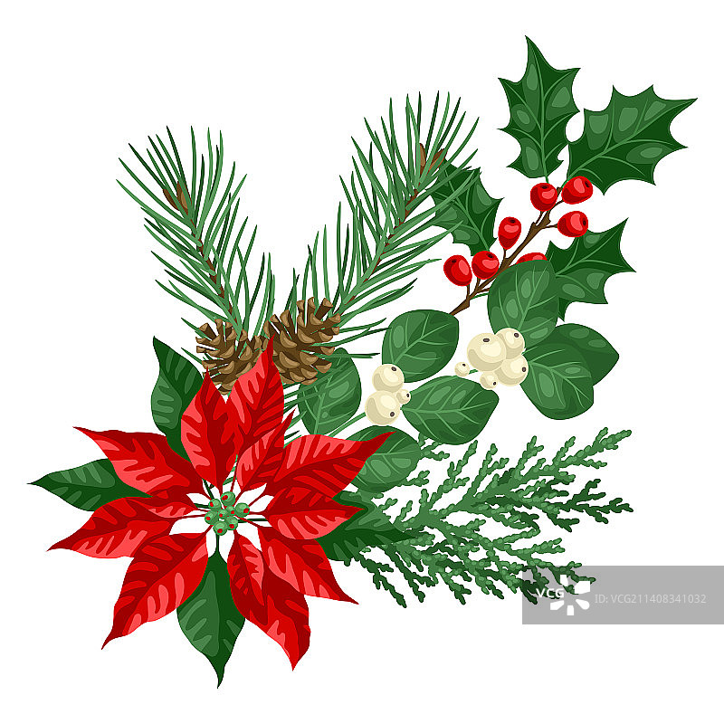 带有冬季植物的圣诞节元素图片素材