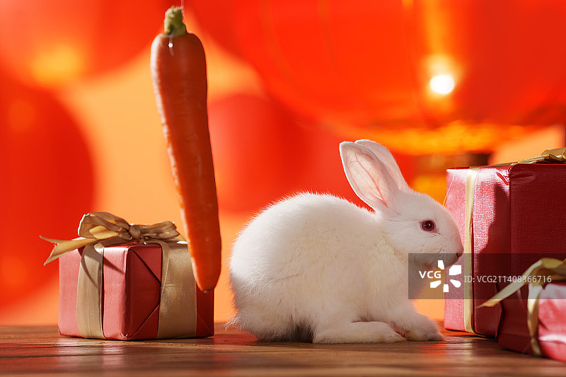 新年礼物盒和的兔子图片素材
