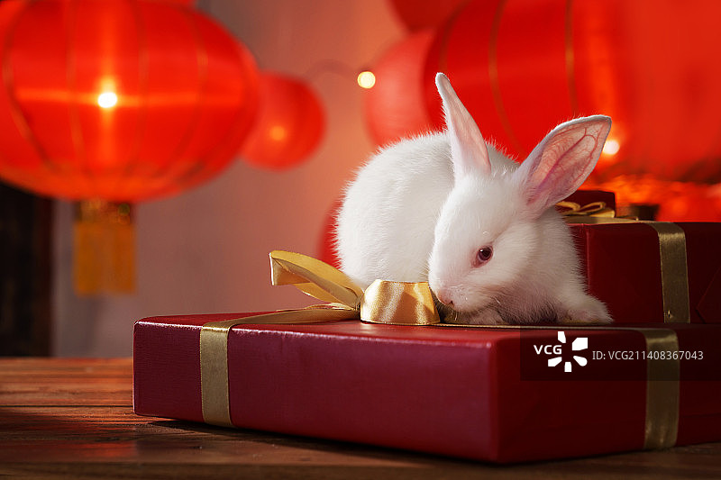 新年礼物盒和兔子图片素材