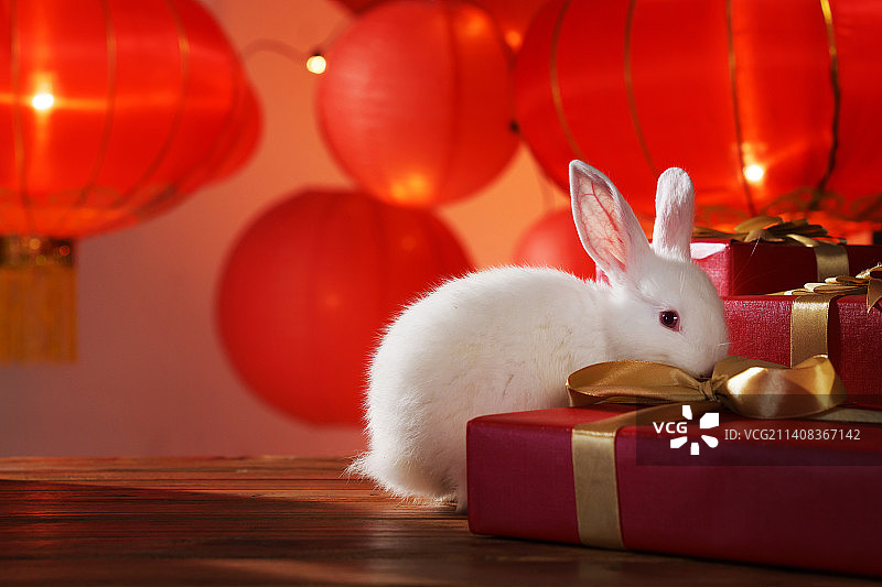 新年礼物盒和兔子图片素材
