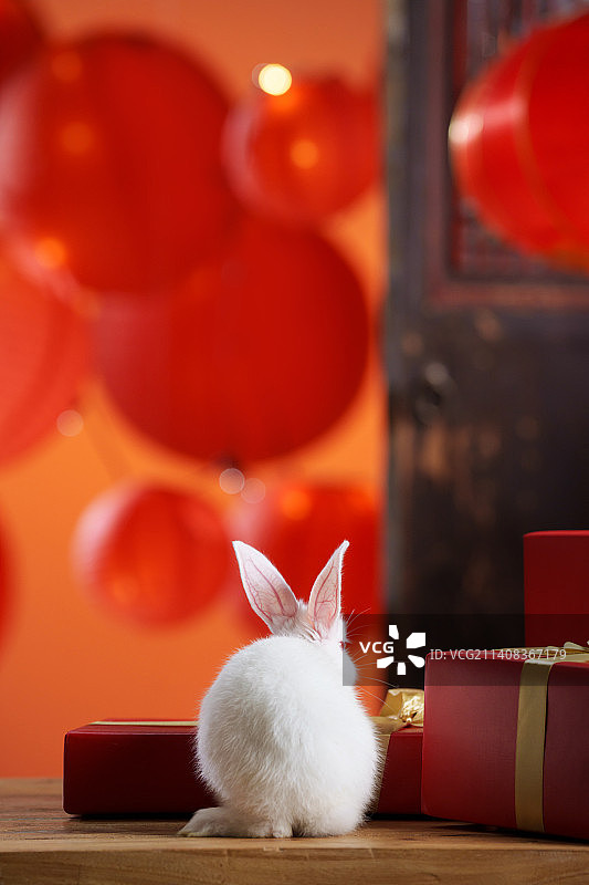 新年礼物盒和兔子图片素材